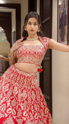Stunning Red Leather Work Lehenga Choli with Designer Blouse